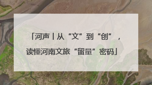 河声丨从“文”到“创”，读懂河南文旅“留量”密码